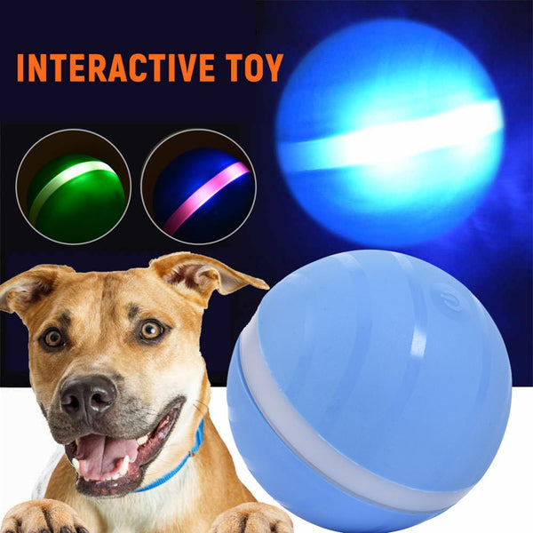 Motion Ball For Pets - World Pet Shop