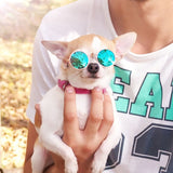 Pets Cool Sunglasses - World Pet Shop