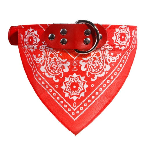 Adjustable Pets Dogs Collar with Triangle Towel - World Pet Shop