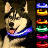 Glow In The Dark LED Dog Safety Collar - World Pet Shop