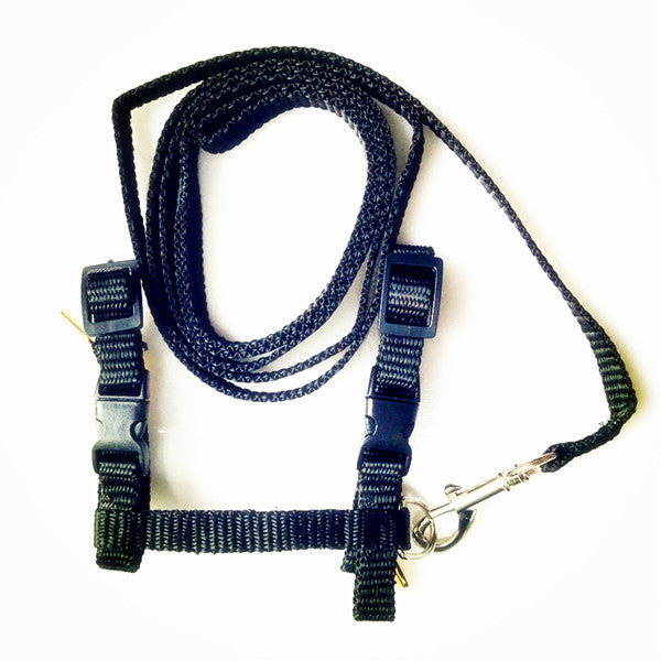 Cat Collar Harness And Leash Adjustable - World Pet Shop