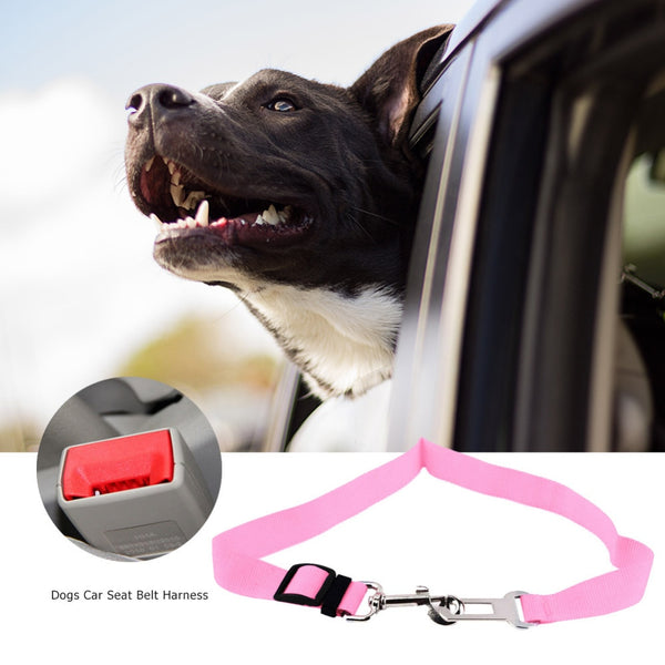 Premium Car Seat Belt - World Pet Shop