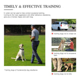 Premium Dog Training Collar - World Pet Shop